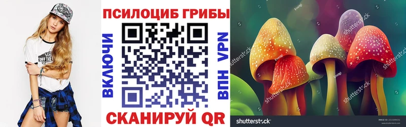 Купить где  Заозёрный  Псилоцибиновые грибы GOLDEN TEACHER 